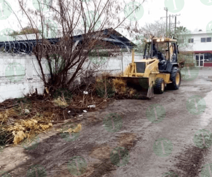 Forestación realiza limpieza en espacios públicos a pesar de las lluvias registradas