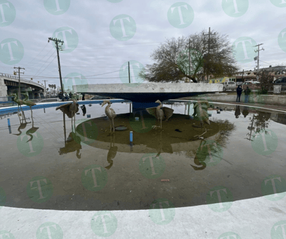 Plazas públicas de Monclova con evidente abandono