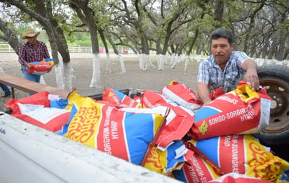 Productores esperan lluvias para el ciclo de siembra primaveral