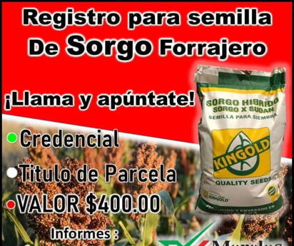 El gobierno de Morelos anuncia la disponibilidad de semillas subsidiadas de sorgo