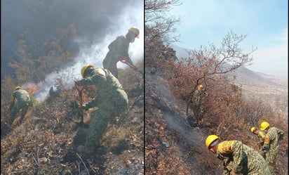 Incendio forestal en Oaxaca cumple 100 horas; se combate por 2 frentes: Gobierno