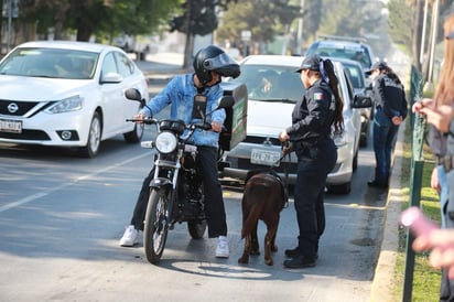 Comisaría de Seguridad: Los accidentes  viales pueden evitarse