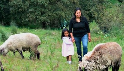 Avanza en San Lázaro reforma en igualdad de género de mujeres ganaderas