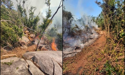 Más de 250 brigadistas combaten incendio en el parque El Veladero en Acapulco