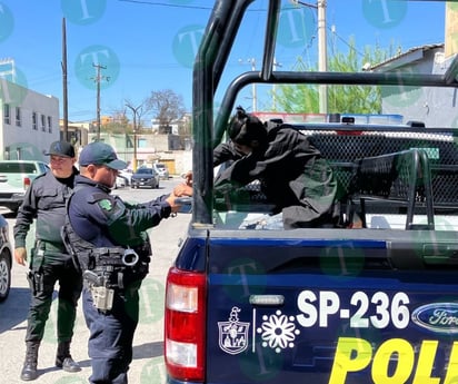 Policía Municipal salva a mujer de la tercera edad de intruso drogado 