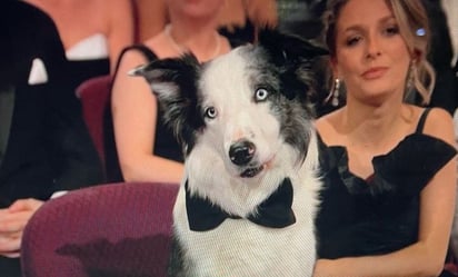 Messi, el perrito del Oscar 2024 que opacó a los nominados