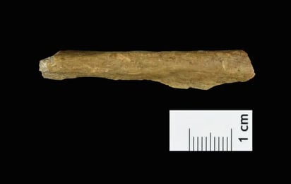 Los primeros Homo sapiens ya habían llegado hasta el noroeste de Europa hace 47 mil años