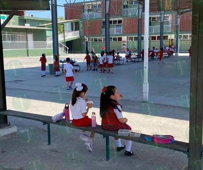 Mega puente para los alumnos de nivel básico 