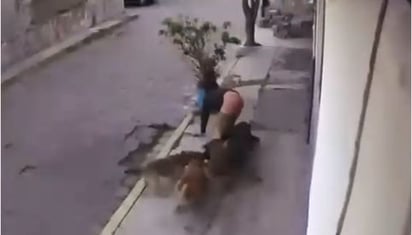 VIDEO: Perros atacan a dos jóvenes en San Miguel Totocuitlapilco