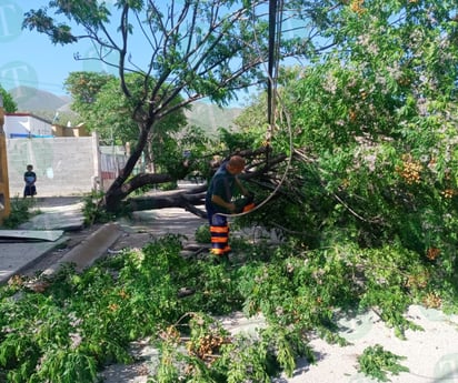 El frente frío número 40 llegó al norte del país con fuertes vientos