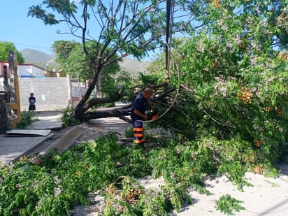 El frente frío número 40 llegó al norte del país con fuertes vientos