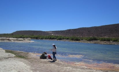 ONU y UNAM advierten como la escasez de agua puede desatar conflictos sociales