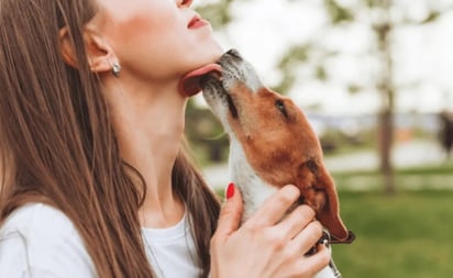 Dejar que tu perro te lama la cara puede causarte problemas de salud