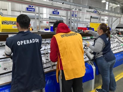 Demanda de mano de obra en el sector productivo se cubre adecuadamente