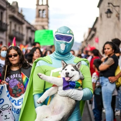 Zadrig Man pide apoyo para trasladar 50 canes