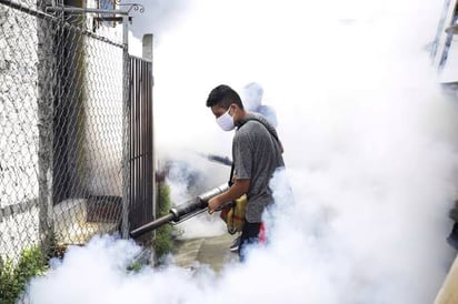 En Piedras Negras no se han presentado casos de dengue