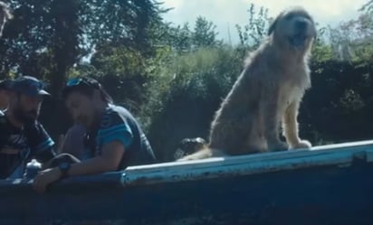 Descubre la lealtad canina en el cine: Arthur, Lassie, Marley y más