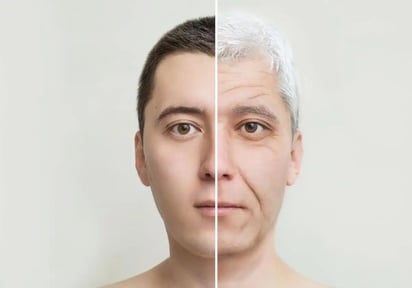 Una terapia con anticuerpos rejuvenece ratones ancianos