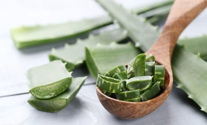 5 beneficios del aloe vera para combatir la caída del cabello