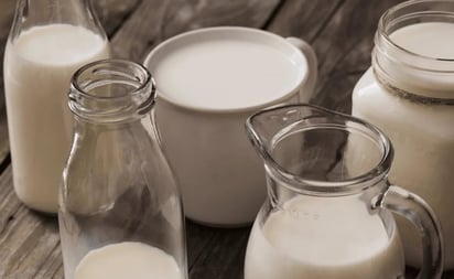 OMS alerta sobre gripe aviar en leche de vacas de Estados Unidos; estudian comportamiento virus