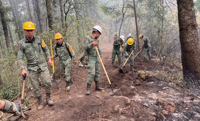 Controlado al 100% incendio en Lagunas de Zempoala, Morelos