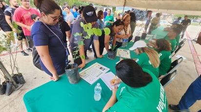 Municipio hará campaña para adoptar árboles por plástico pet