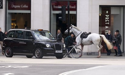 VIDEO: Caballos sueltos en Londres siembran el caos y hieren a 4 personas en pleno centro