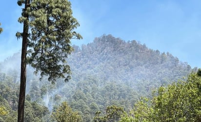 Brigadista herido en incendio forestal es trasladado desde Mazatlán al Hospital General de Culiacán