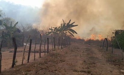 Suman 9 incendios forestales activos en varios municipios de Sinaloa