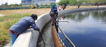 El calor intensifica olores de la planta tratadora