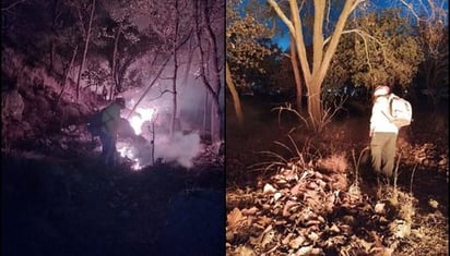 Activan alerta atmosférica en 4 municipios de Jalisco por incendio forestal