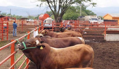 Buscan aprovechar la poca agua que se registra en la región para beneficiar al campo