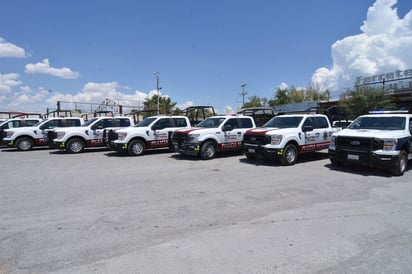 Pareja de ladrones asalta a ancianitos en la colonia Guadalupe Borja de Frontera