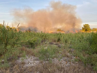 Protección Civil, Bomberos y Forestación lograron apagar fuego en el Río Monclova