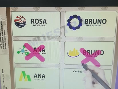 Boletas deberán ir bien marcadas con 'X' 