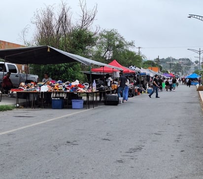 Calor da tregua a pulgas en Monclova; suben las ventas