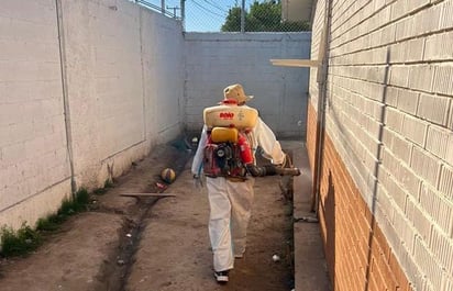 Las escuelas de PN serán fumigadas para poder evitar dengue y chinches