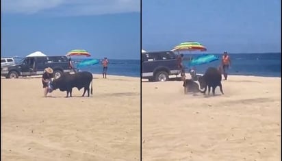 VIDEO: Toro embiste a una mujer en playa de Los Cabos, Baja California Sur