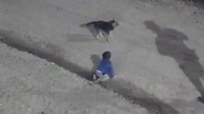 Hallan a bebé solo gateando por las calles de Argentina; perrito lo cuidaba