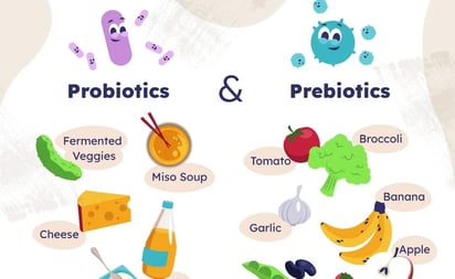 Qué son los probióticos y prebióticos: diferencias entre cada uno