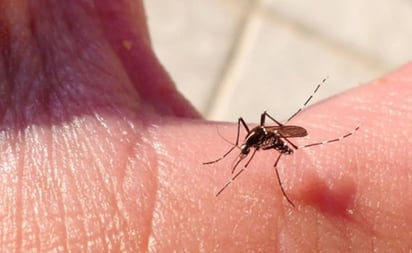 Cuáles son los síntomas y complicaciones del dengue hemorrágico