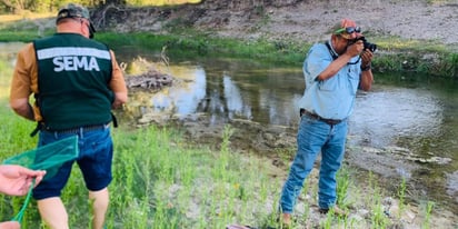 Acuña: Se vigila la calidad del agua del Arroyo Las Vacas; se visitarán más lugares estratégicos