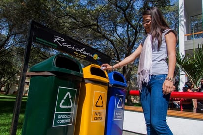 La cultura del reciclaje: Un Impulso duradero para proteger la naturaleza