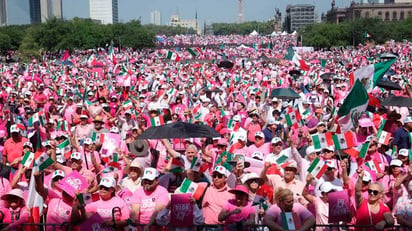 Marea Rosa en Mérida, una de las movilizaciones más numerosas