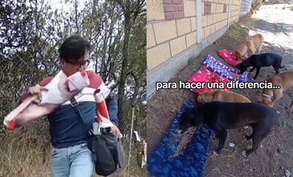 Convierte “basura electoral” en camas para perritos de la calle y es viral en TikTok