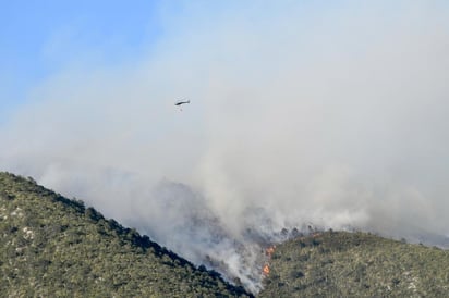 Incendios forestales en el Sureste y la Carbonífera