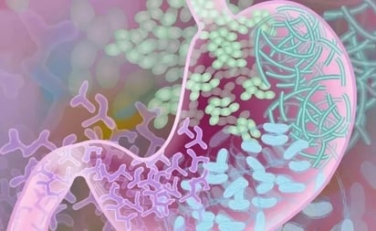 Llucha contra el Parkinson: hallan posible vínculo con la microbiota intestinal