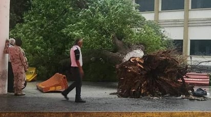 Vórtice del tornado siembra el pánico en Piedras Negras