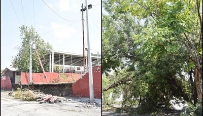 Lluvias y granizo dejan inundaciones, vehículos varados y árboles y postes caídos en Nuevo León