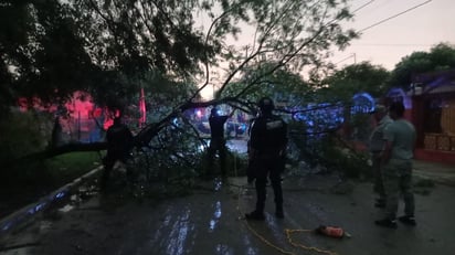 Agentes realizan labor de apoyo a limpieza tras fenómeno meteorológico 